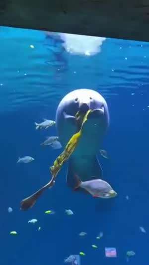 첨 보는 동물입니다