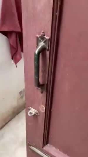 잠자는 고양이