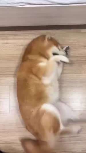 재채기 후...멍