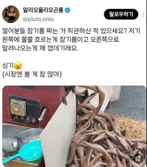 참기름 짜는 영상 평화롭게 보다가 갑자기 화나고 슬퍼지는 글....